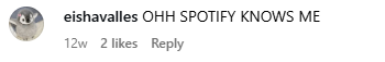 Spotify4